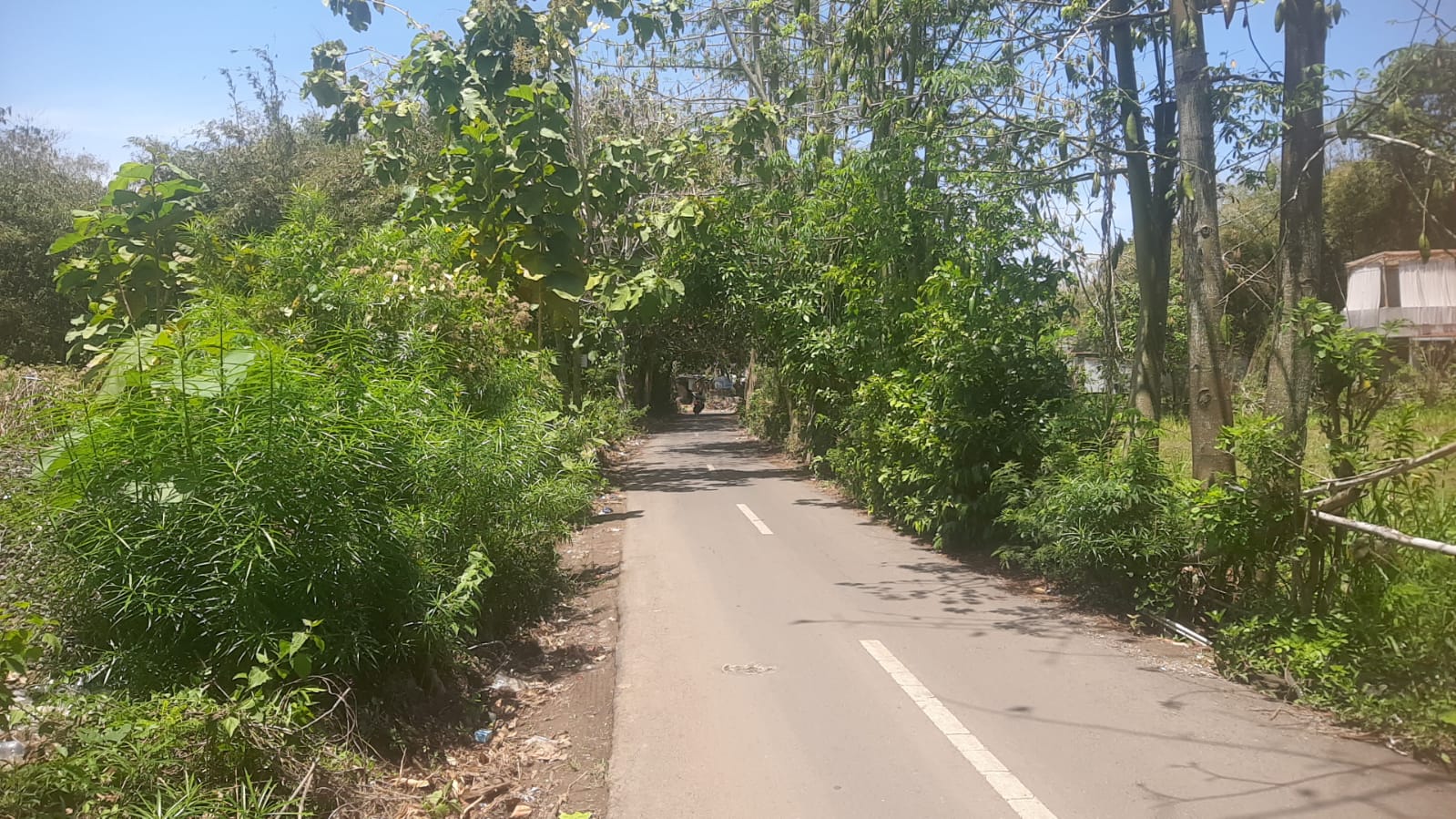 Tanah Di Sewakan Di Jimbaran Denpasar Bali